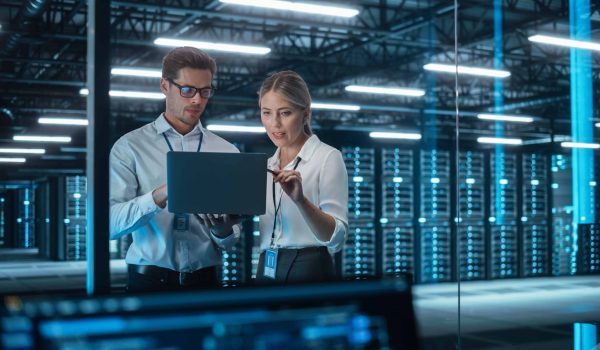 IT Security Consultant